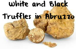White-and-Black-Truffles-in-Abruzzo